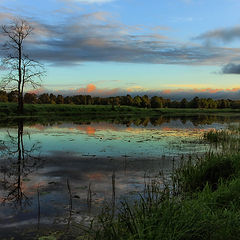 photo "пейзаж"