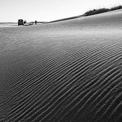 фото "Барханчик"