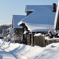 фото "Последний живой"