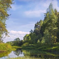 фото "У реки Вязьма"