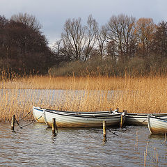 photo "Boats at the lake"