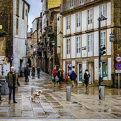 photo "At the Crossroads"