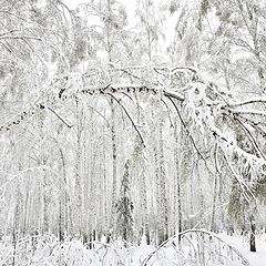 фото "Уральский май"