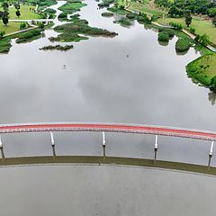 photo "bridge"