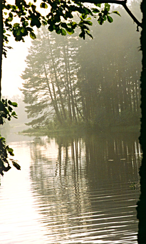 фото "Вечерний пейзаж в косой раме" метки: пейзаж, вода, лес