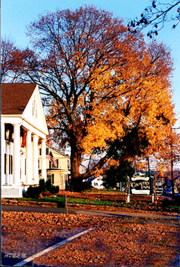 photo "Autumn Colors 6" tags: nature, travel, North America