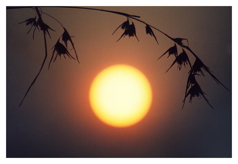 photo "Sun drawing" tags: landscape, sunset