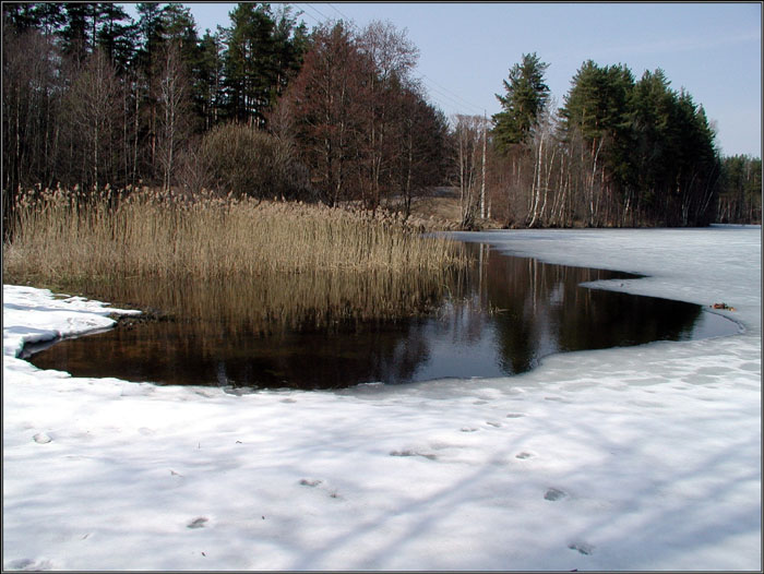 photo "Last thawed patch" tags: landscape, spring