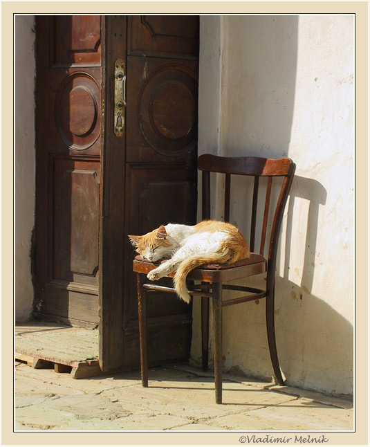 photo "Basking in the sun..." tags: nature, genre, pets/farm animals