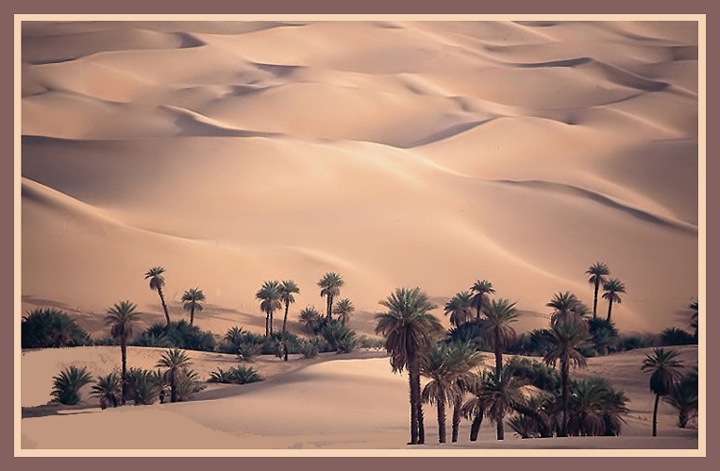 фото "Sahara" метки: пейзаж, 