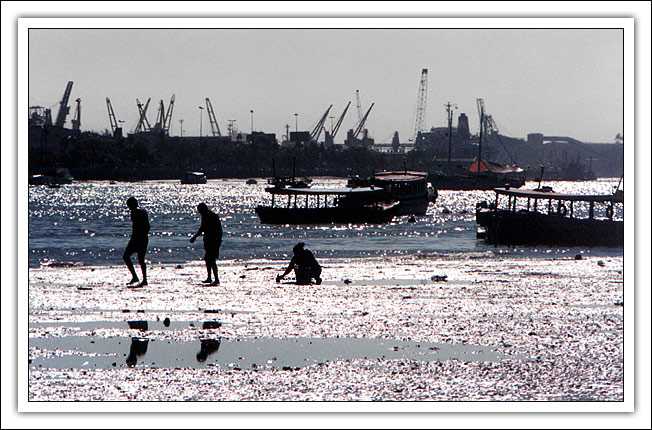 photo "Seeking for Crab" tags: landscape, water