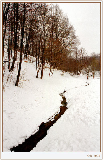 photo "Kolomenskoye.1" tags: landscape, forest, spring