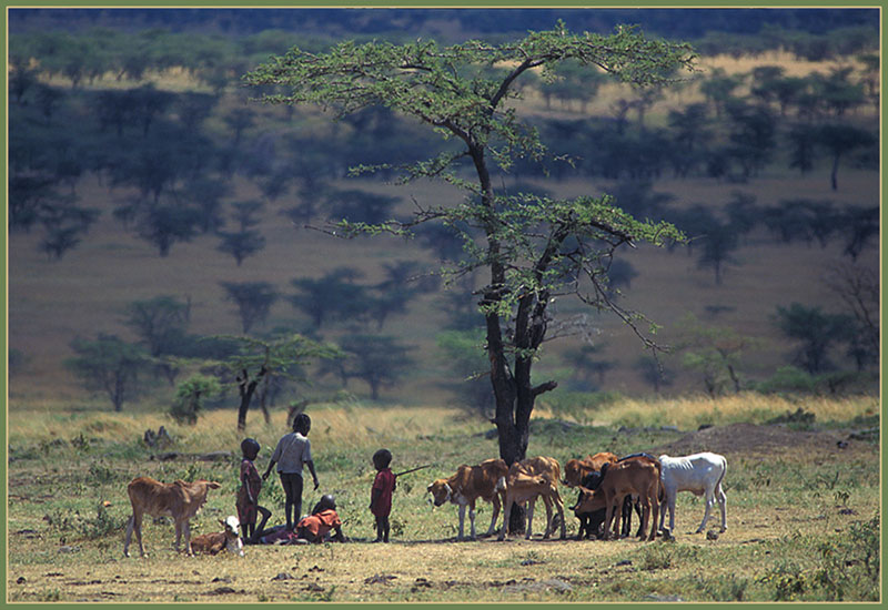 photo "Life In The Savannah" tags: misc., 