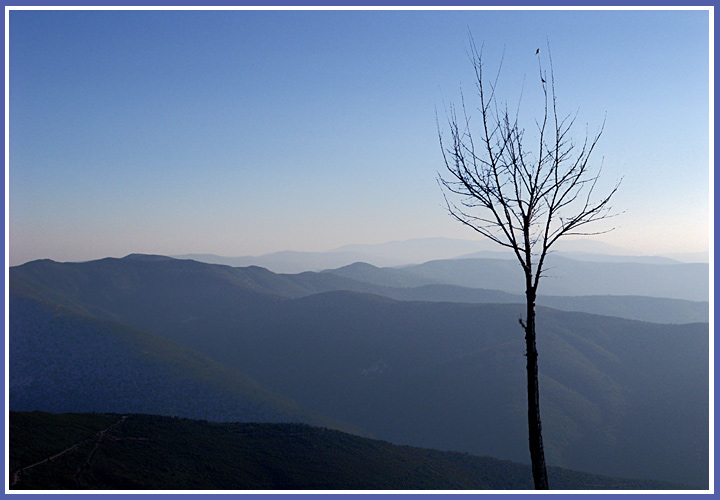 photo "Serra da Estrela" tags: landscape, nature, mountains