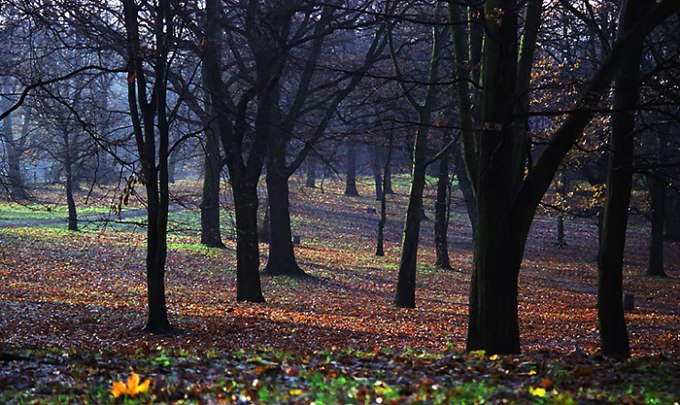 фото "autumn" метки: пейзаж, осень