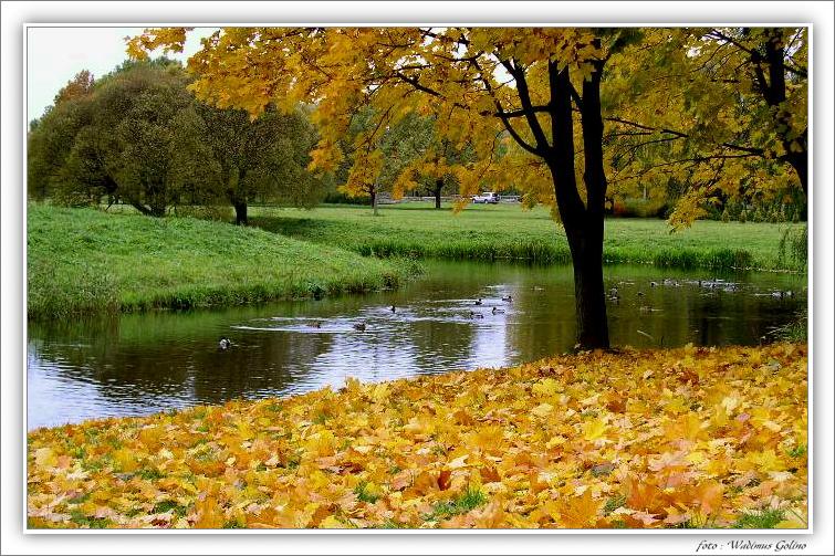 Осень жанр. Осенние мотивы картинки. Евро осень. Осенний мотив.