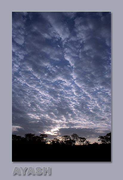 photo "Morning Clouds II" tags: landscape, clouds