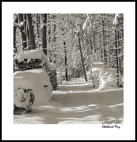 фото "winter in the woods" метки: пейзаж, зима