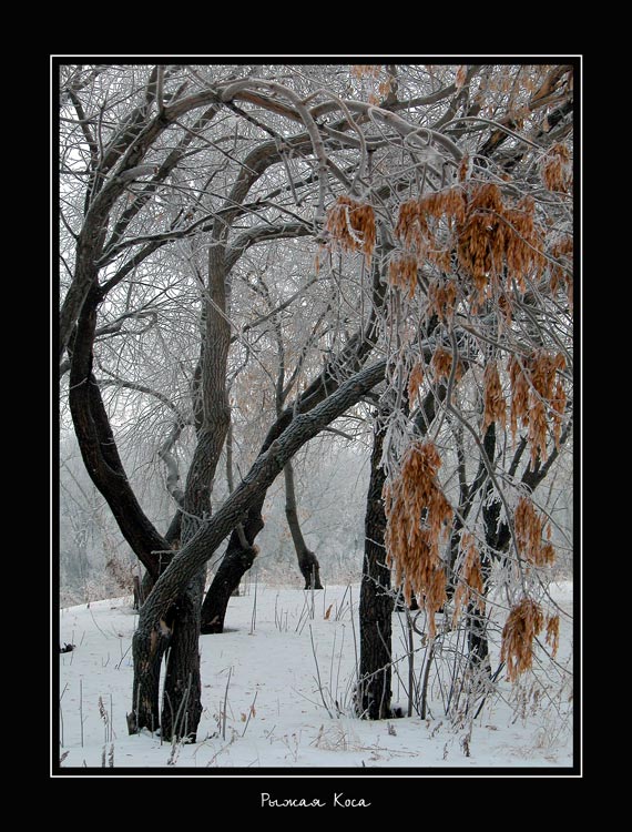 фото "Рыжая Коса" метки: разное, пейзаж, зима