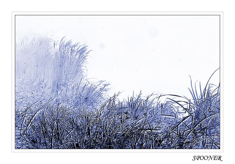 фото "*****" метки: пейзаж, природа, зима