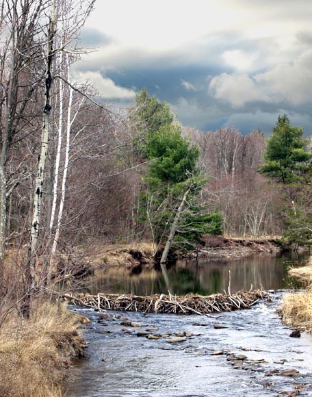 photo "Beaver Dam" tags: landscape, forest, mountains