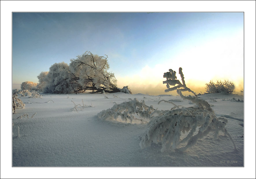 photo "Fetters of winter" tags: landscape, sunset, winter