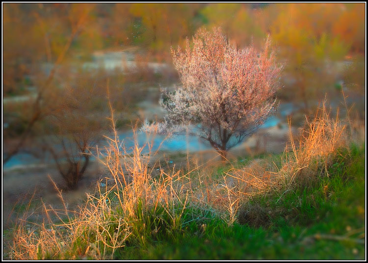 фото "Пробуждение" метки: разное, 