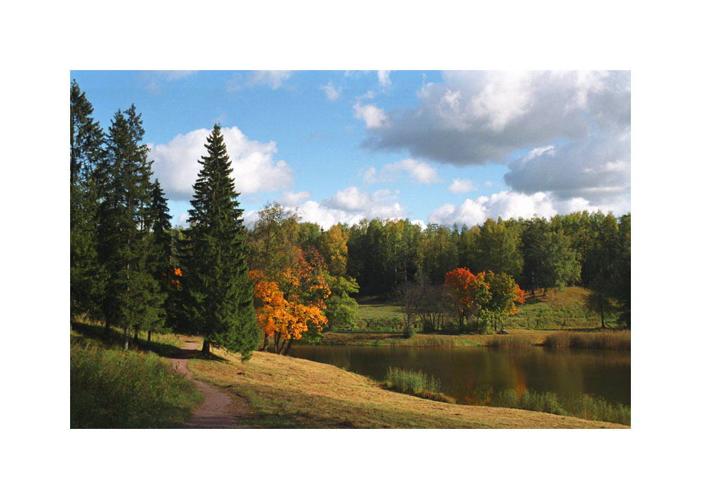 photo "*****" tags: landscape, autumn, forest