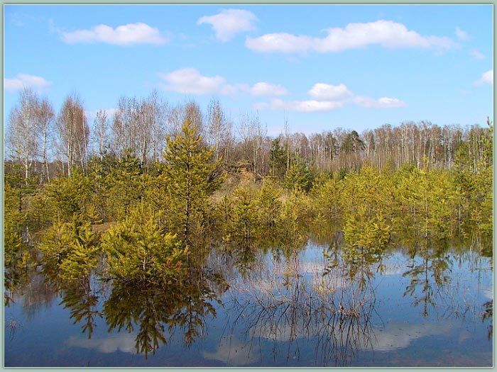 photo "Весеннее настроение" tags: landscape, spring, water