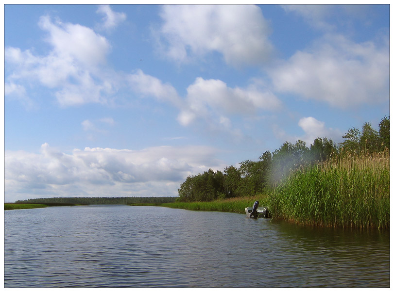 photo "The summer is a small life" tags: nature, landscape, water