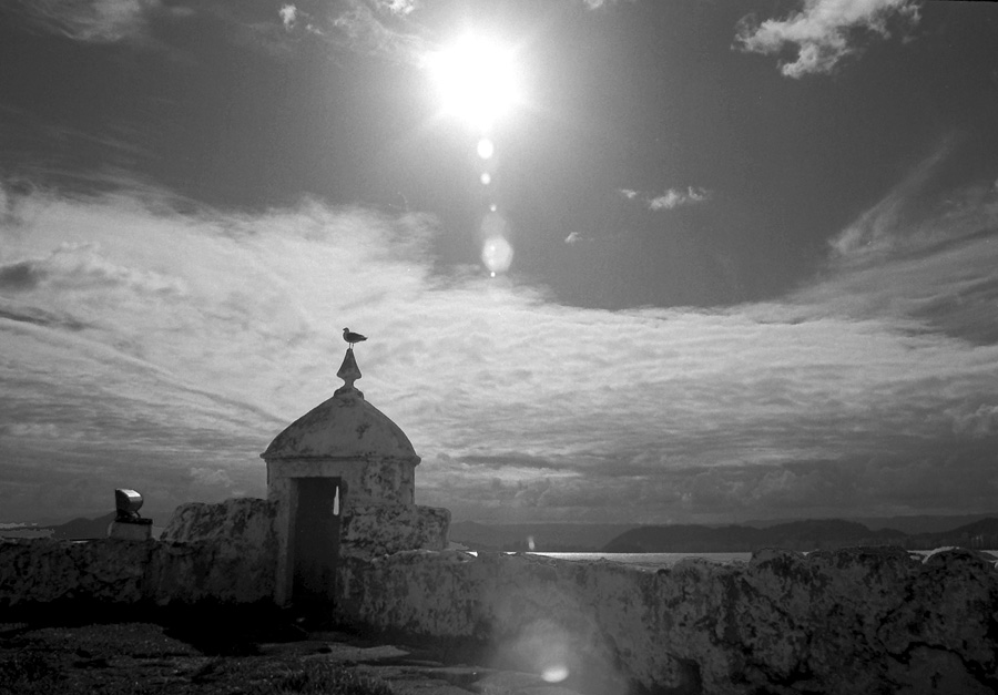 photo "The Gull Under The Sun" tags: black&white, landscape, 