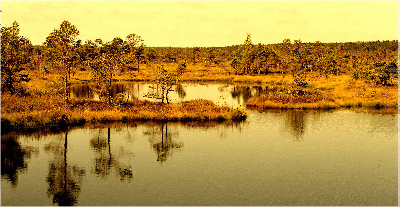 photo "Evening colors" tags: , 