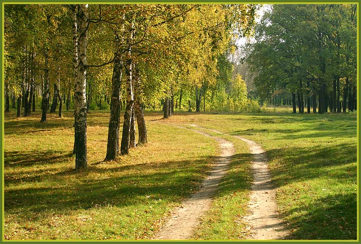 photo "It is dear, on which the summer left" tags: landscape, autumn, forest