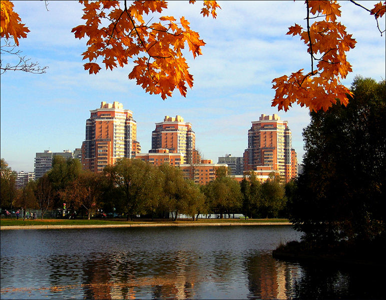 Москва природа осень