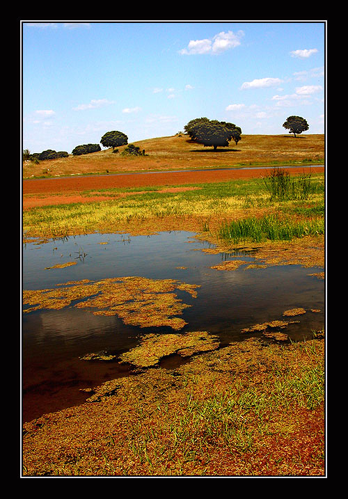 фото "coloured world #12" метки: пейзаж, вода, лето