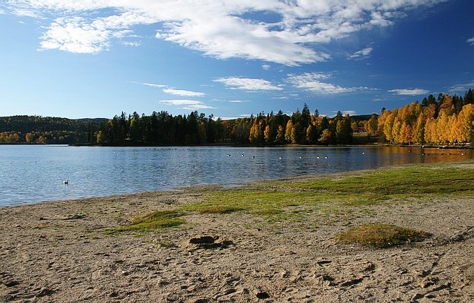 photo "Lake" tags: landscape, autumn