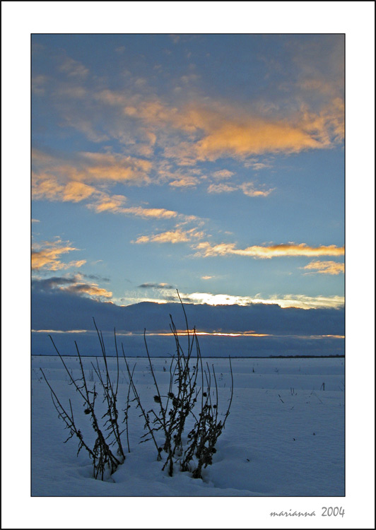 photo "Evening in turn blue" tags: landscape, autumn, clouds