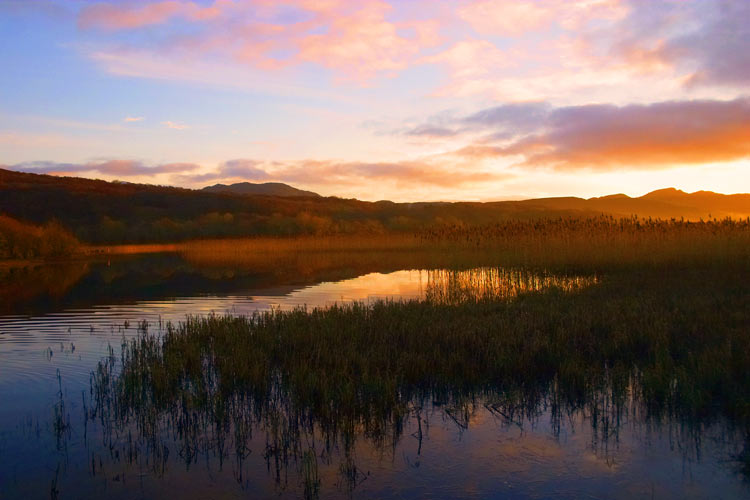 photo "pink sky at night sheperds delight" tags: landscape, sunset