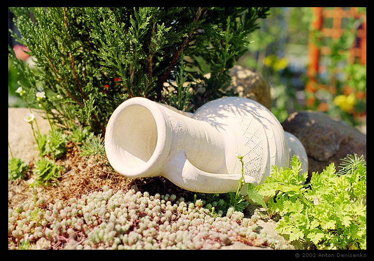 photo "The Jug" tags: nature, still life, 