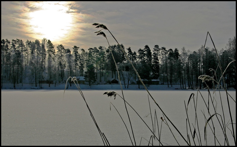 фото "Morning mood" метки: пейзаж, зима