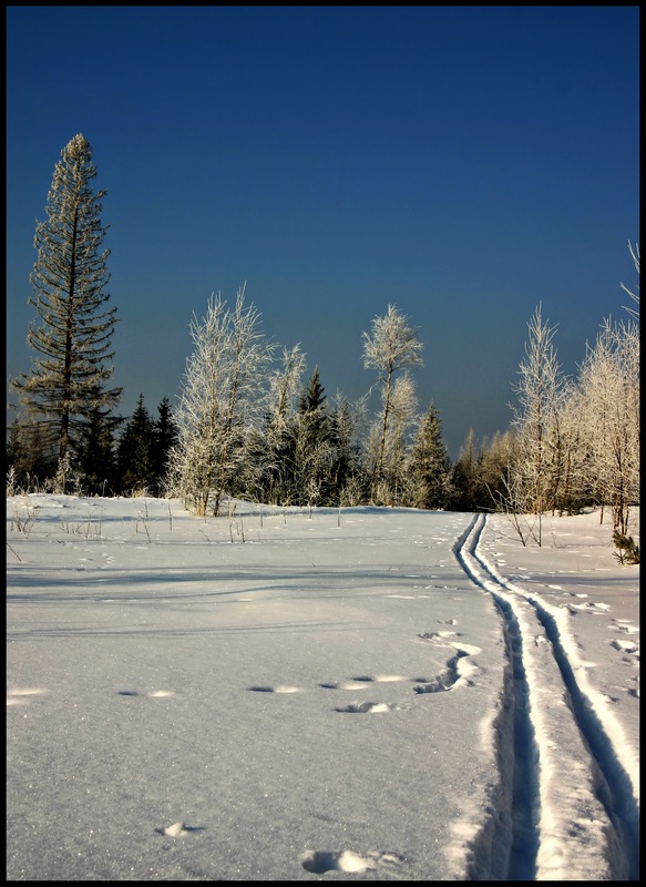 photo "Back home..." tags: landscape, winter