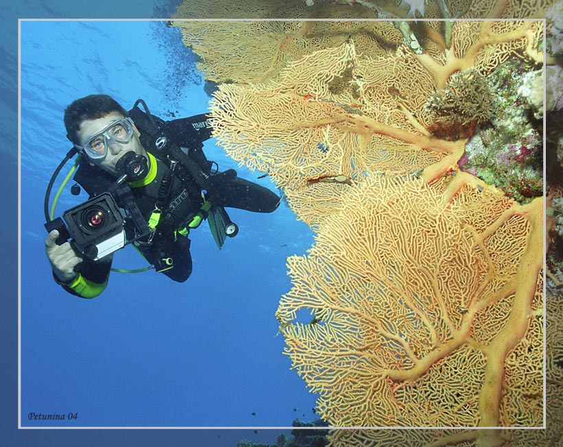 photo "Good visibility" tags: underwater, 