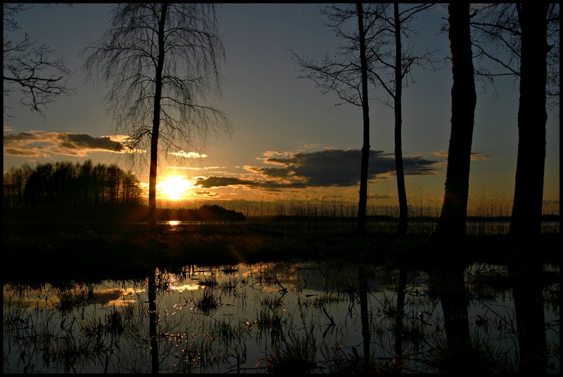 фото "Spring mood" метки: пейзаж, весна