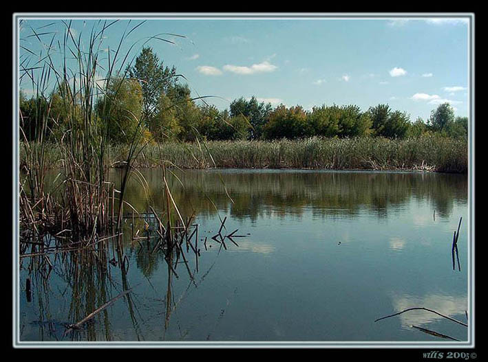 photo "***" tags: landscape, water