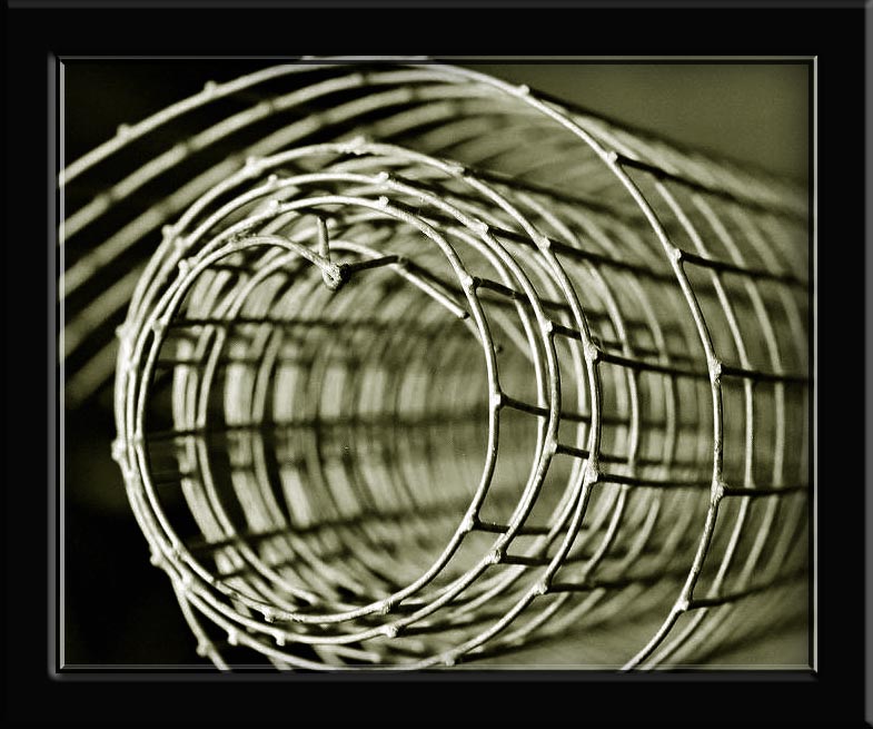 фото "The Wire" метки: абстракция, макро и крупный план, 