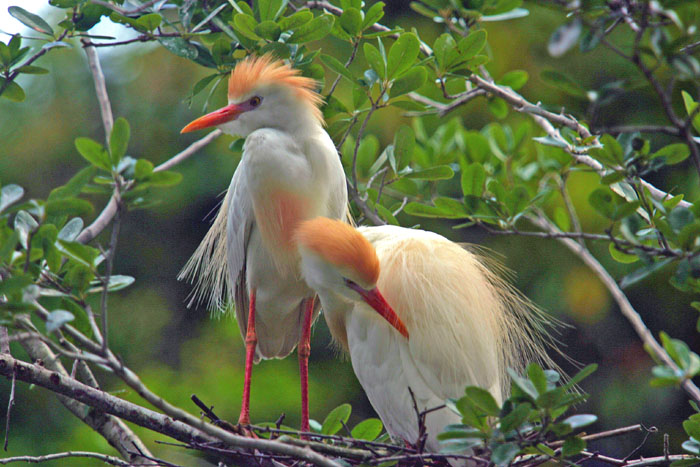 photo "taking care of buisness" tags: nature, wild animals