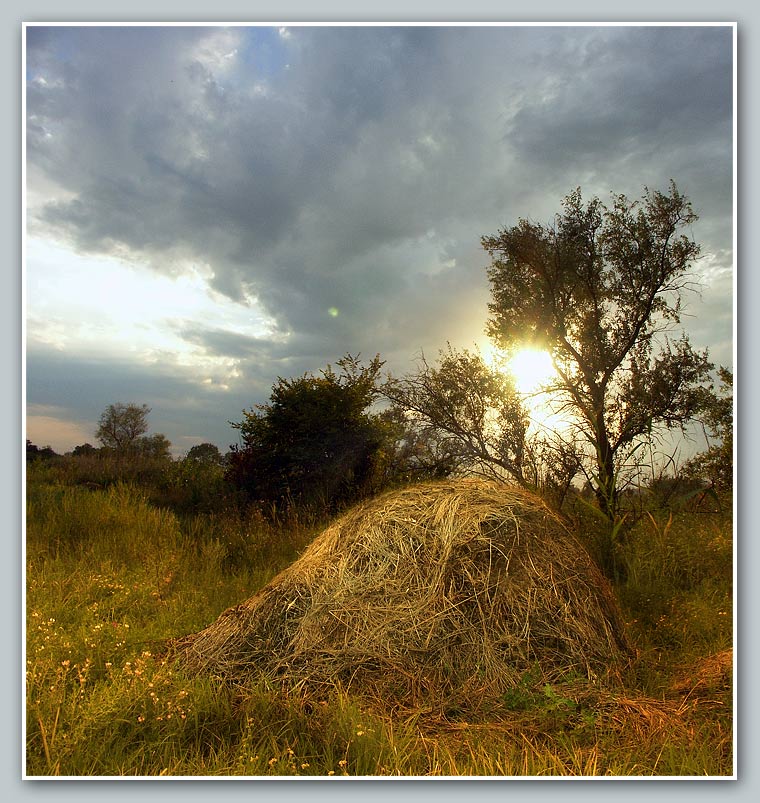 photo "***" tags: landscape, summer, sunset