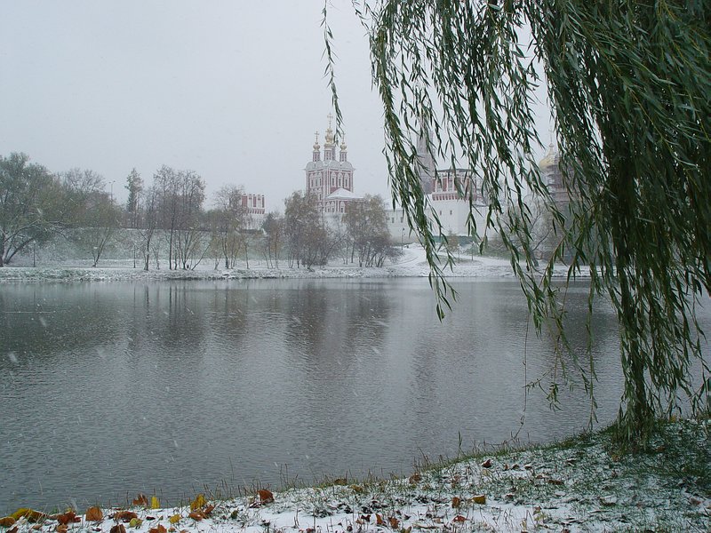 фото "Первый снег" метки: природа, пейзаж, осень