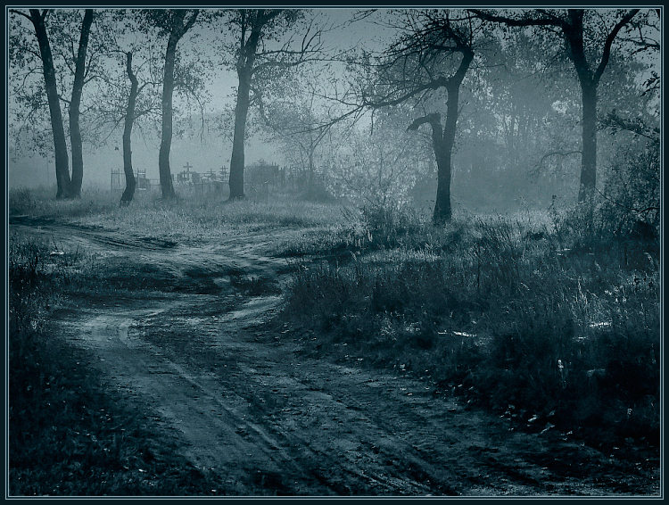 фото "Нелёгкая, кривая..." метки: пейзаж, черно-белые, лес