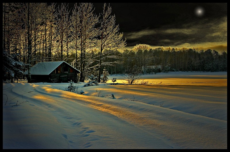 фото "Silent night" метки: разное, 